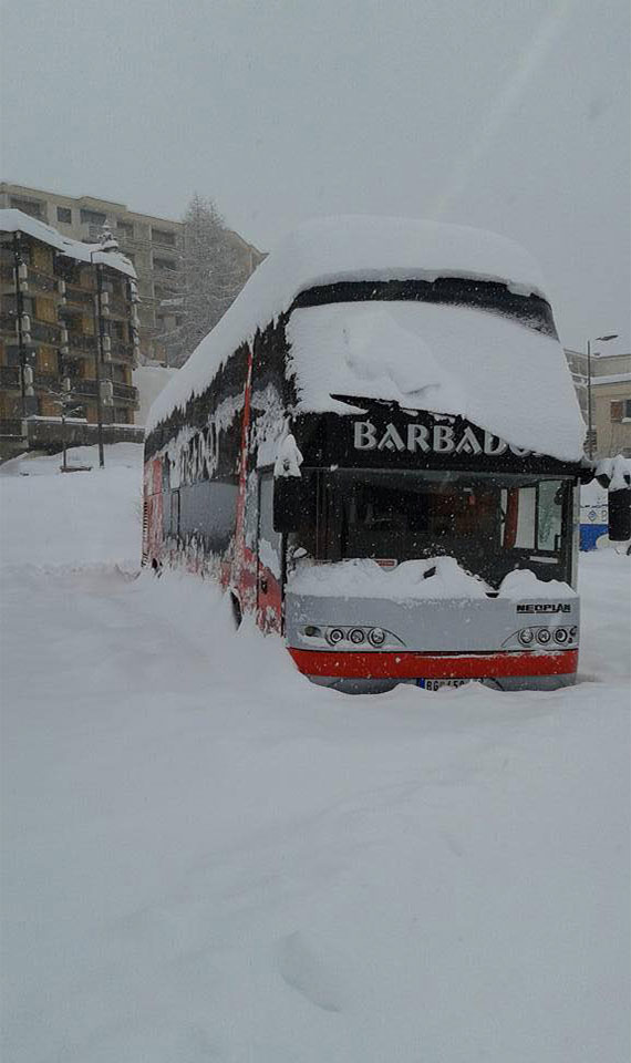 Barbados-bus-Skimanijaci-s008