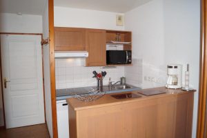 Les-2-Alpes-Flocon D'Or-Skimanijaci-s018