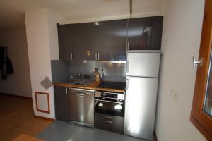 Les-2-Alpes-Flocon D'Or-Skimanijaci-s023