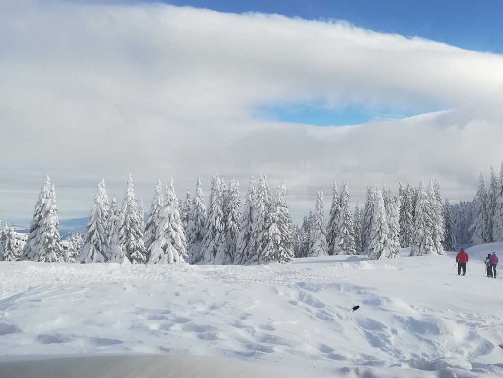 Kopaonik-2021-Skimanijaci-skim009