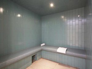 Les2Alpes-ski-SkiManijaci-2024-sm020